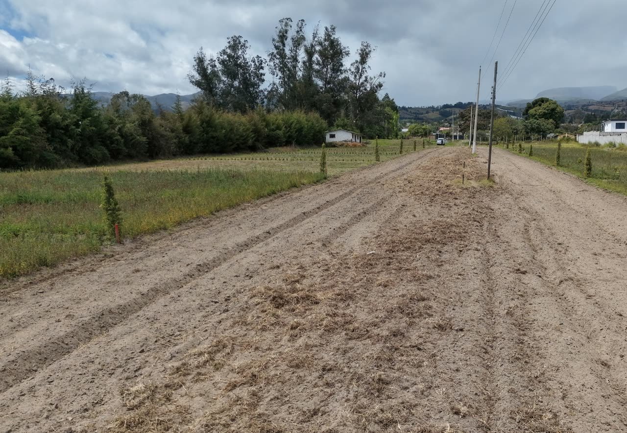 Foto del terreno a nivel de suelo